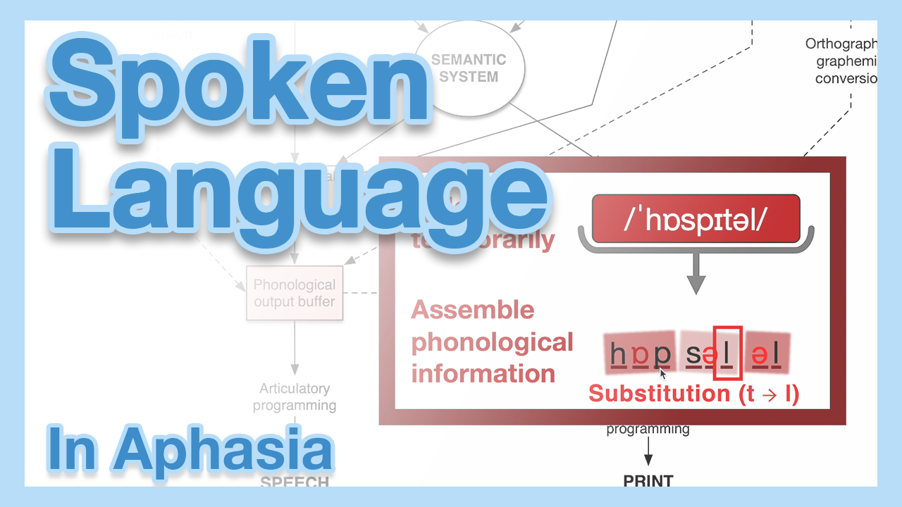 Step-by-step video explanations of aphasia and the psycholinguistic model