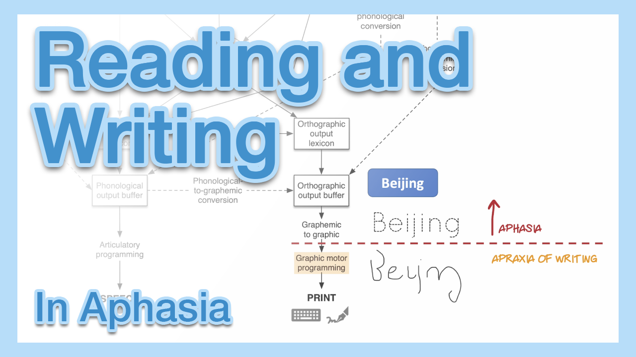 Step-by-step video explanations of aphasia and the psycholinguistic model